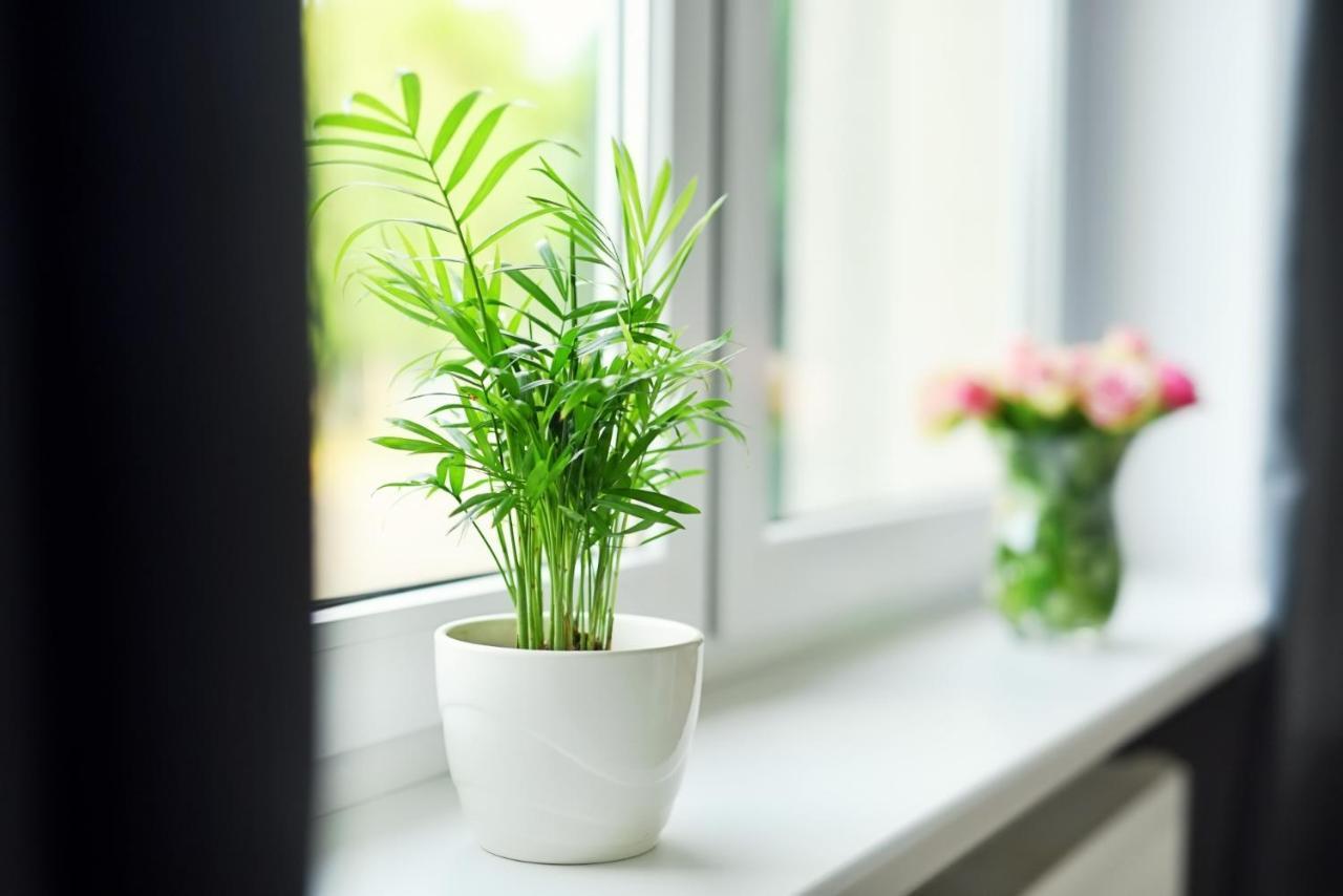Apartamenty Lotnisko Leszno Leszno  Zewnętrze zdjęcie